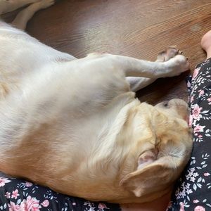 Meet your Posher, Cecilia